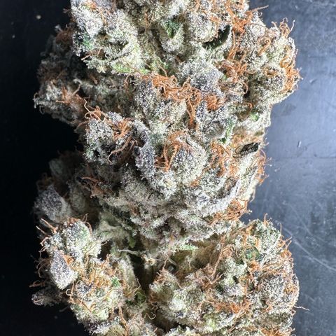 CxLAZ #31 58.75g growlog photo: Trimmed and moved to jar