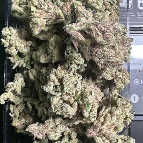 Misc x (LA Kush x Zkittles) #28 13.53g growlog timeline photo