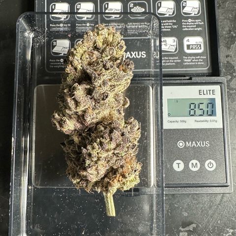 Misc x (LA Kush x Zkittles) #22 34.14g growlog timeline photo