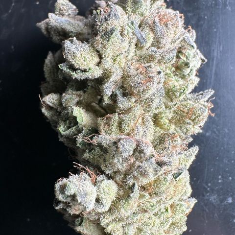 Misc x (LA Kush x Zkittles) #26 60.7g growlog timeline photo