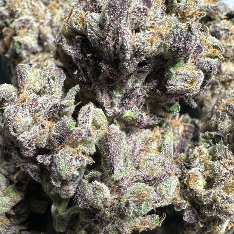 Misc x (LA Kush x Zkittles) #37 42.26g growlog timeline photo