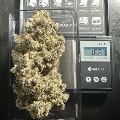 CxLAZ #24 37.13g growlog timeline photo
