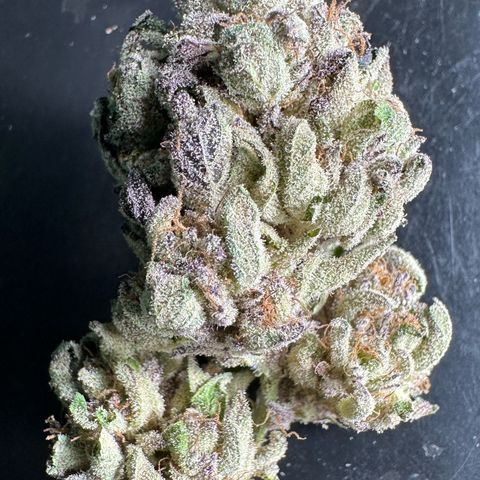 Misc x (LA Kush x Zkittles) #35 28.55g growlog timeline photo