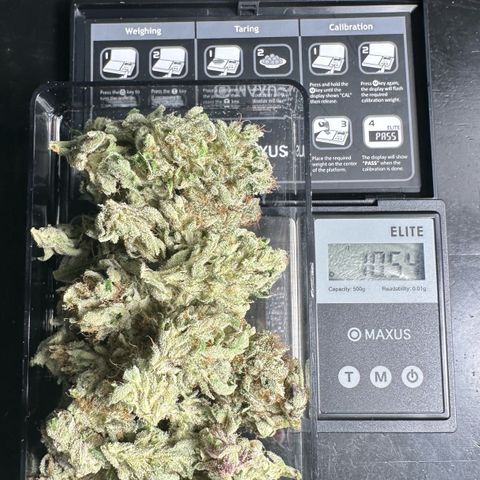 Misc x (LA Kush x Zkittles) #04 10.54g growlog timeline photo
