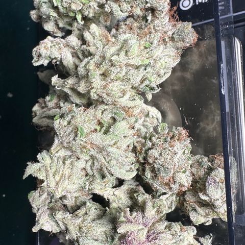 Misc x (LA Kush x Zkittles) #04 10.54g growlog timeline photo