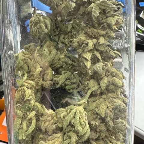 Misc x (LA Kush x Zkittles) #23 28.19g growlog timeline photo
