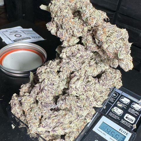CxLAZ #03 45.52g growlog timeline photo