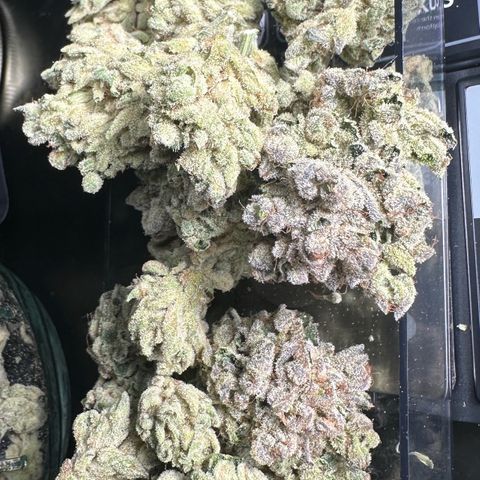 Misc x (LA Kush x Zkittles) #26 60.7g growlog timeline photo