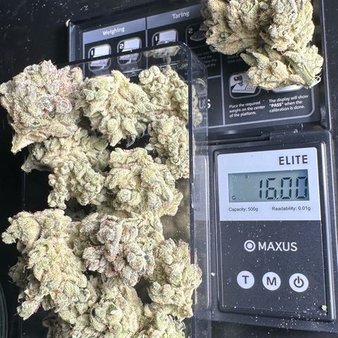 Misc x (LA Kush x Zkittles) #26 60.7g growlog timeline photo