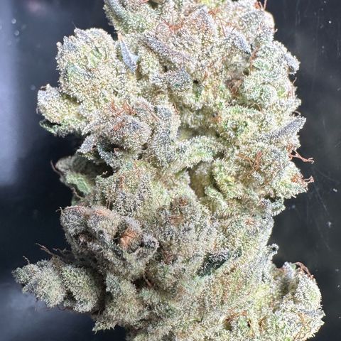 Misc x (LA Kush x Zkittles) #26 60.7g growlog timeline photo