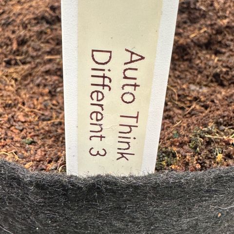 Auto Think Different  #3 growlog timeline photo