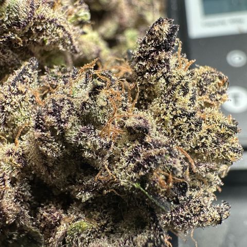 Misc x (LA Kush x Zkittles) #22 34.14g growlog timeline photo