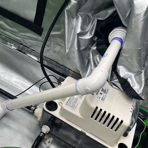 CxLAZ #16 50.72g growlog timeline photo