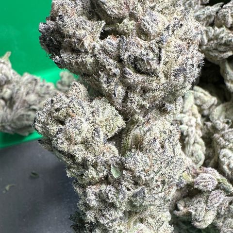 Misc x (LA Kush x Zkittles) #29 25.69g growlog timeline photo