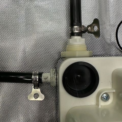 CxLAZ #16 50.72g growlog timeline photo