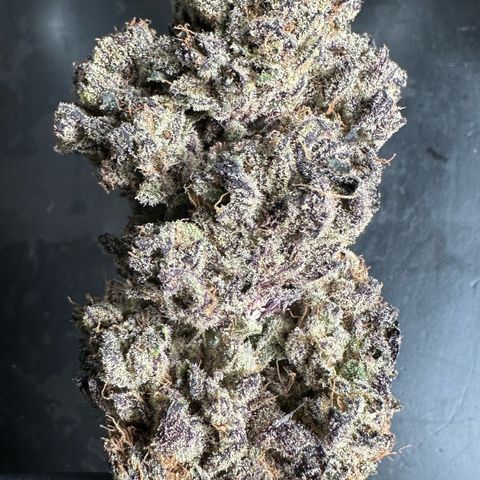 Misc x (LA Kush x Zkittles) #37 42.26g growlog timeline photo