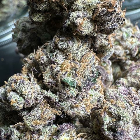 Misc x (LA Kush x Zkittles) #37 42.26g growlog timeline photo