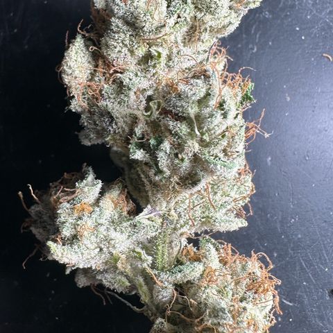 Misc x (LA Kush x Zkittles) #04 10.54g growlog timeline photo