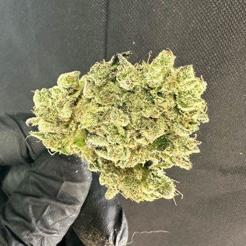 CxLAZ #24 37.13g growlog photo: Seeded bud