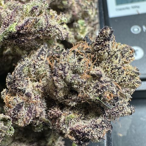 Misc x (LA Kush x Zkittles) #22 34.14g growlog timeline photo