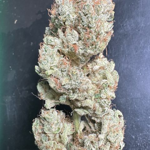 CxLAZ #06 growlog timeline photo