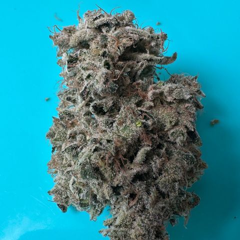 CxLAZ #15 52g growlog photo: Seeded bud