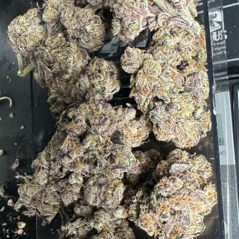 Misc x (LA Kush x Zkittles) #37 42.26g growlog timeline photo