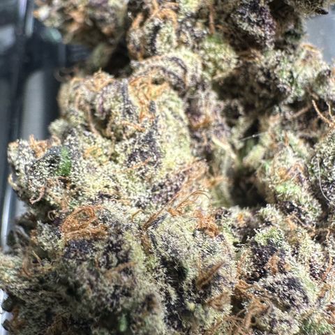 CxLAZ #03 45.52g growlog timeline photo