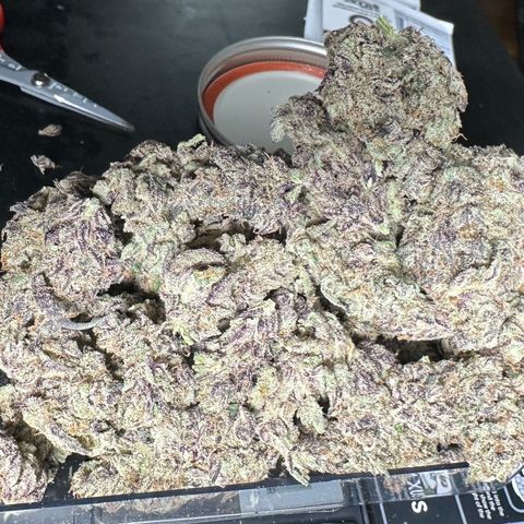 CxLAZ #03 45.52g growlog timeline photo