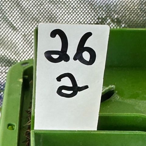 MiscxLAZ #26 C #2 growlog timeline photo