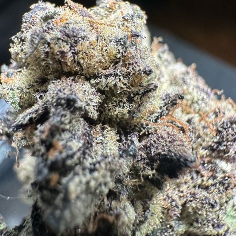 Misc x (LA Kush x Zkittles) #22 34.14g growlog timeline photo
