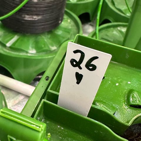 MiscxLAZ #26 C #1 47.15g growlog timeline photo