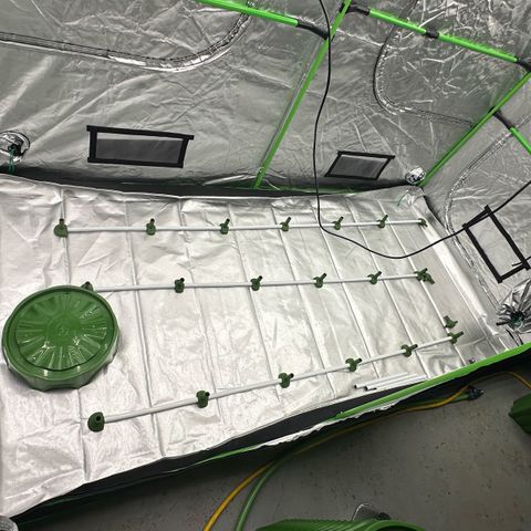 CxLAZ #16 50.72g growlog timeline photo