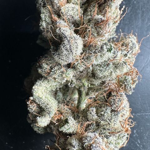 Misc x (LA Kush x Zkittles) #34 15.68g growlog timeline photo