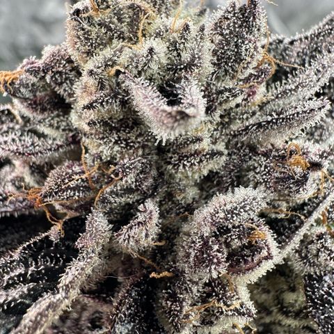Misc x (LA Kush x Zkittles) #22 34.14g growlog timeline photo