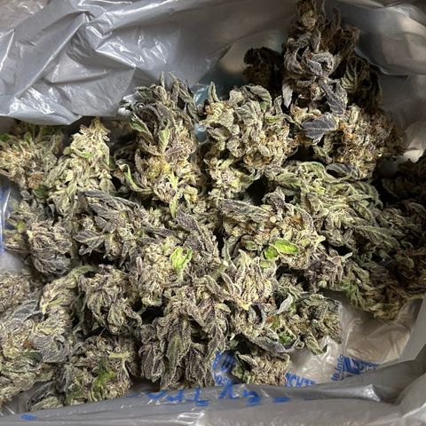 CxLAZ #03 45.52g growlog photo: Moved to plastic bag
