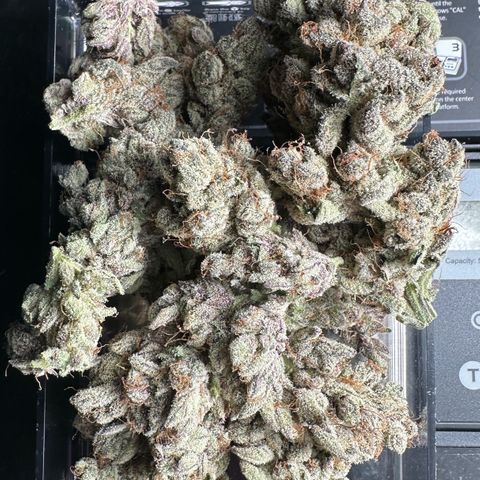 Misc x (LA Kush x Zkittles) #34 15.68g growlog timeline photo