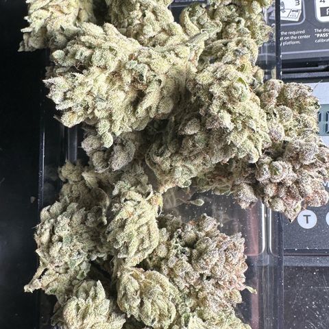 Misc x (LA Kush x Zkittles) #26 60.7g growlog timeline photo