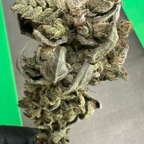 Misc x (LA Kush x Zkittles) #23 28.19g growlog timeline photo