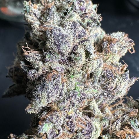 Misc x (LA Kush x Zkittles) #37 42.26g growlog timeline photo