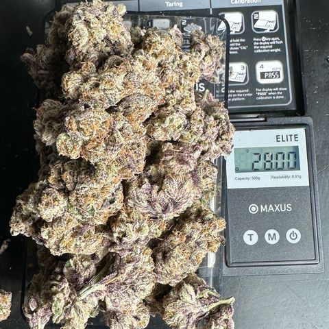 Misc x (LA Kush x Zkittles) #37 42.26g growlog photo: Nanners all over that I missed. Plant was on right side of tent where light was malfunctioning.