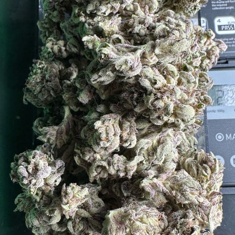 Misc x (LA Kush x Zkittles) #35 28.55g growlog timeline photo