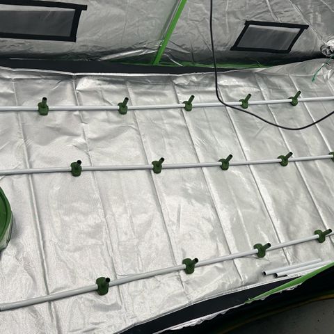 CxLAZ #16 50.72g growlog timeline photo