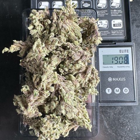 Misc x (LA Kush x Zkittles) #33 19.08g growlog photo: 19g total put in Grove bag
