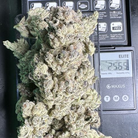 Misc x (LA Kush x Zkittles) #29 25.69g growlog timeline photo