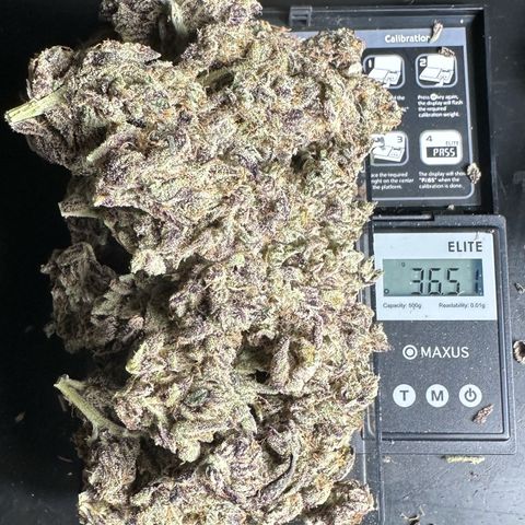 CxLAZ #03 45.52g growlog timeline photo