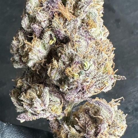 Misc x (LA Kush x Zkittles) #37 42.26g growlog timeline photo