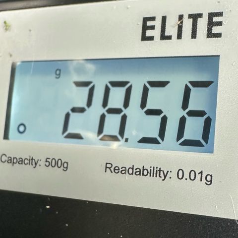 CxLAZ #06 growlog timeline photo