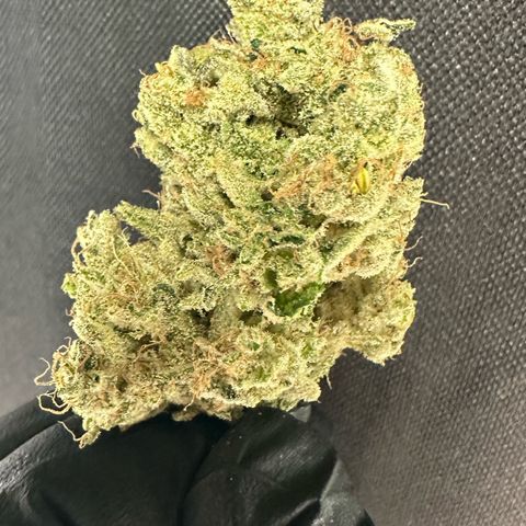 CxLAZ #15 52g growlog timeline photo