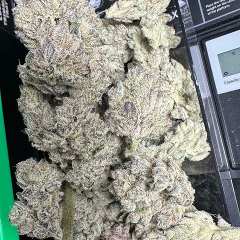 Misc x (LA Kush x Zkittles) #29 25.69g growlog timeline photo